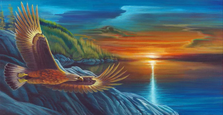 Drone & Aerial Videography