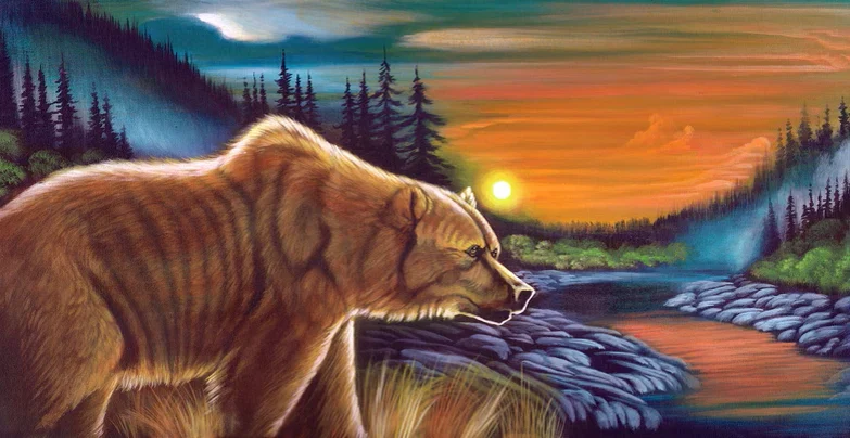 Personal & Advocacy Films