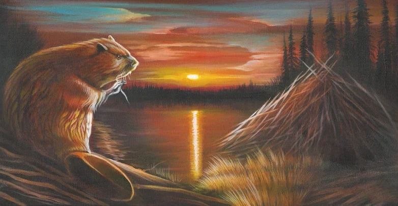 Training & Education Videos